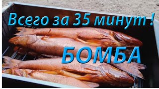 Судак горячего копчения. Быстро и вкусно!