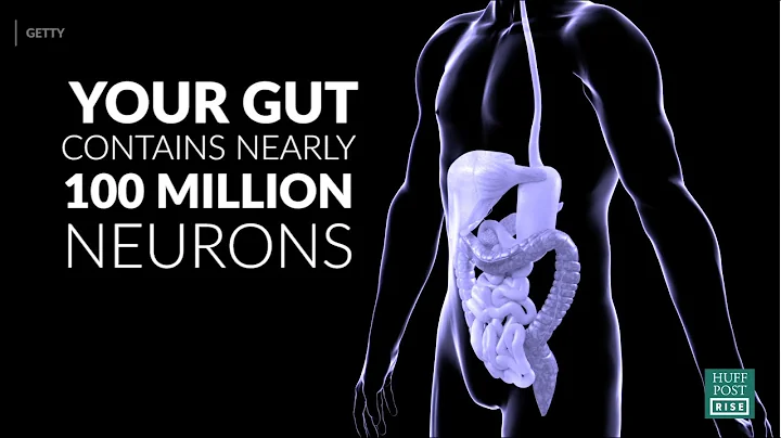 3 Things Your Gut Is Trying To Tell You