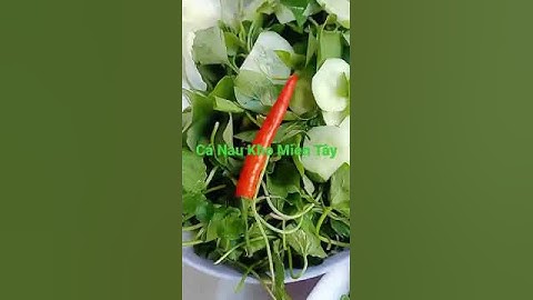 #Cá Nâu Miền Tây #Cậu Út Miền Tây