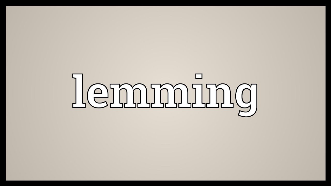 Pronunciation of Lemming  Definition of Lemming 