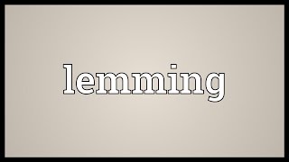 Lemmings Meaning In Urdu  Choohay Ki Manind Katarnay Wala Janwar