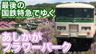 185系 快速あしかが大藤まつり号 で行くあしかがフラワーパーク