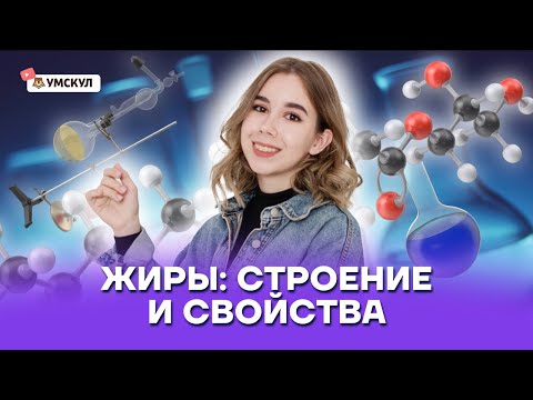 Жиры: строение и свойства | Химия ЕГЭ 10 класс | Умскул