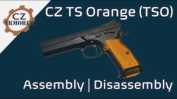 CZ TSO - Disassembly &  Reassembly, plus a few other things...