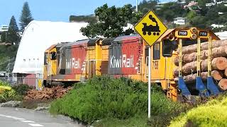 Afternoon trains in Napier New Zealand 27 01 2022