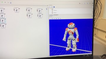 NAO Robot Animation Demonstration