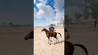 Wait for end 😱 Horse | Tiger | Pacman | #shorts #trending #comedy