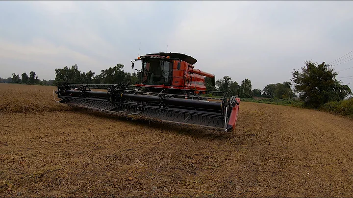 10/8/2020:  Griggs Farms LLC First Day of Soybean ...