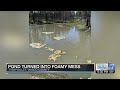 Spray foam dumped in Wasco County pond sparks wildlife investigation; reward offered