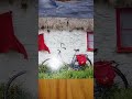 20. März * Die Welt festhalten * vom Verlag benno *@V * #V * https://t.me/BitchBotBoiiLive * @Q * #Q