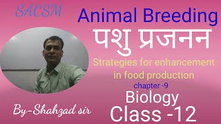 Animal breeding, पशु प्रजनन , Strategies for enhancement in food production, class -12,chapter-9,BIO