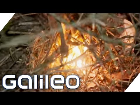 Video: Ein gefälschtes Feuer machen – wikiHow