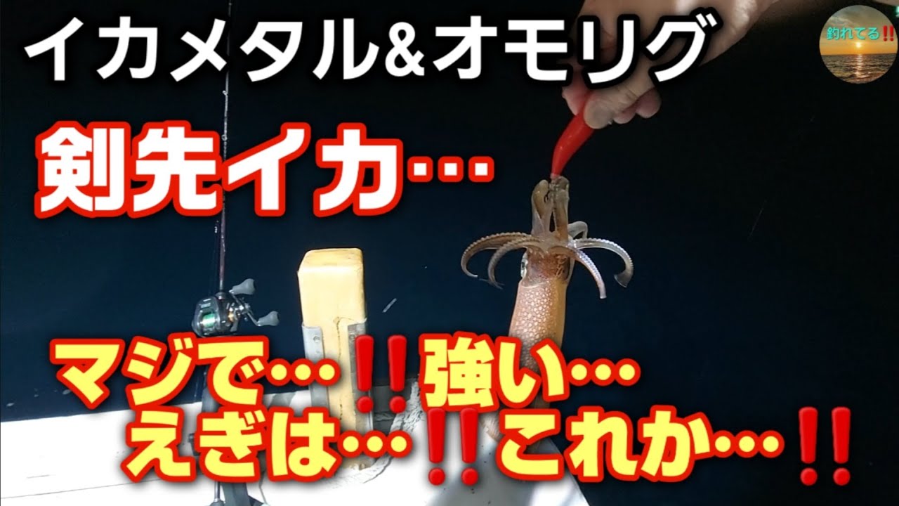 マジで強い…‼️えぎは…コレか…‼️周りもコレで連発してる‼️【イカメタル&オモリグ】京丹後市間人…【珀瑛丸】続編…