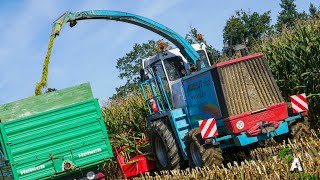 MENGELE MAMMUT 7800 | Letzter Einsatz 😢| Pure SOUND | Mais Silage | Fendt 612 LSA &amp; Fendt 306 LS