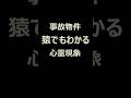 【事故物件】猿でもわかる心霊現象#10