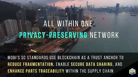 Blockchain Applications to Improve Visibility in the Mobility Supply Chain