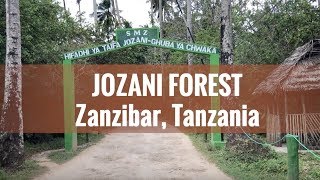 Jozani Forest, Zanzibar