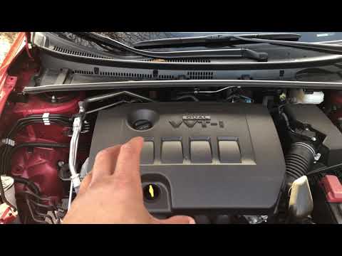 TOYOTA COROLLA - ADD OIL LOCATION