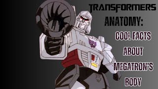 Megatron&#39;s Transformers Anatomy Cool Facts About Megatron&#39;s Body