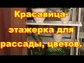 Красавица- этажерка для рассады и цветов "Чако-4"