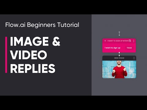 Flow.ai Intermediate Tutorial - Entities