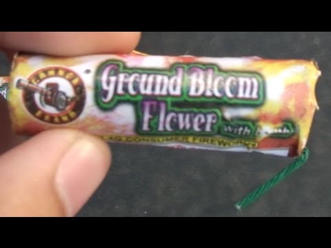 Ground Bloom Flowers with Bomb by Cannon Brand