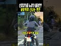 신호대기에 걸린 바이커의 공연 ㅋㅋ