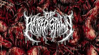 Of Hatred Spawn Live at Ontario Death Fest 7 2019
