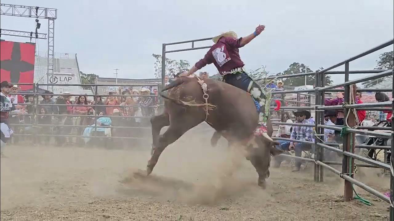 Rancho Barriga Salinas California Jaripeo YouTube