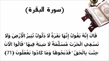 سورة البقرة الاية 71