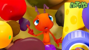 Hormigas De Pícnic | ¡Compilaciones de Antiks en Español! | Dibujos Animados | Videos para niños