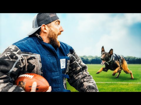 Can We Outrun a Police Dog? | Animal Olympics