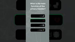 Bladder Control: The Role of the Urinary Bladder