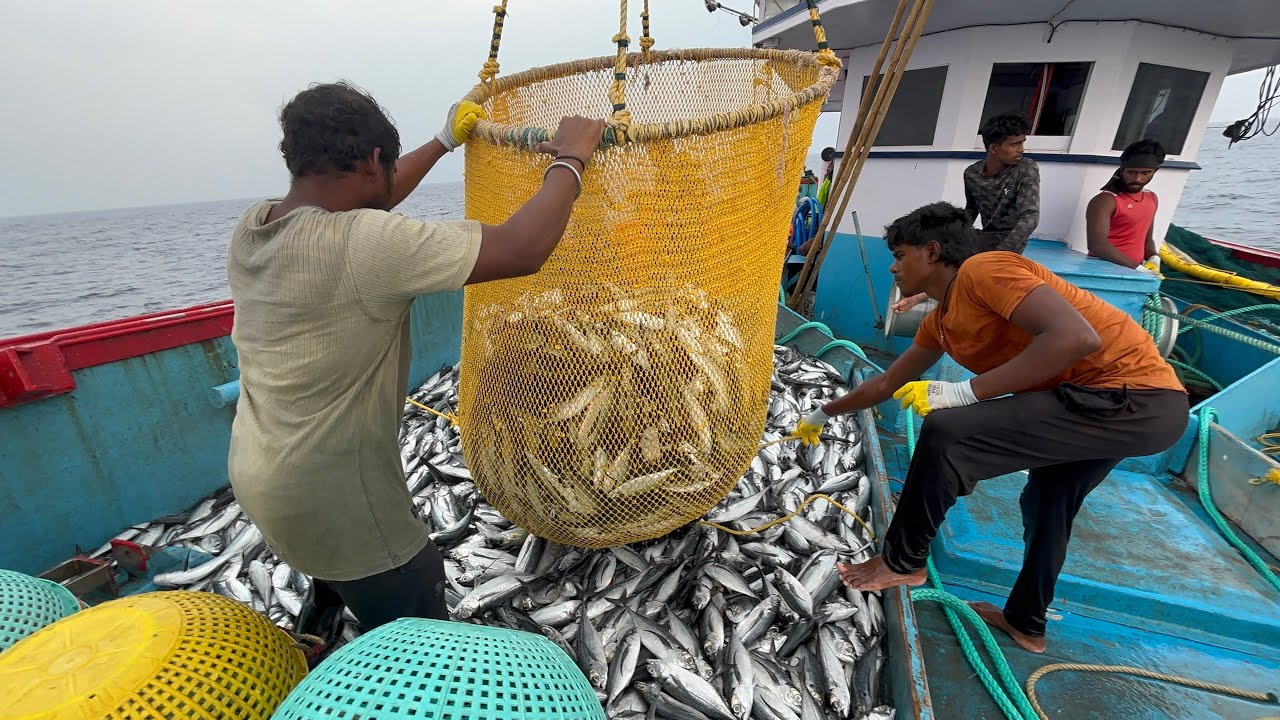 2 Days Fishing Catch 🐟🐟Full Uncut Video‼️Real Sea Life😳💥