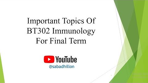 BT302 | Important Topics For Final Term Exams | @SabadhillonVU  | With Free PDF File