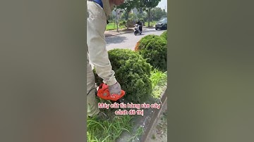 Máy cắt tỉa cây cảnh hàng rào đô thị
