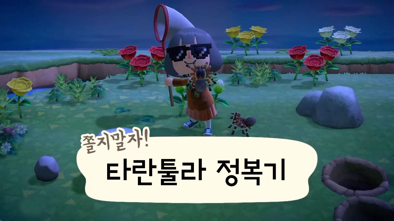 닌텐도 스위치 동물의 숲 거미잡고 돈 쉽게 버는 법