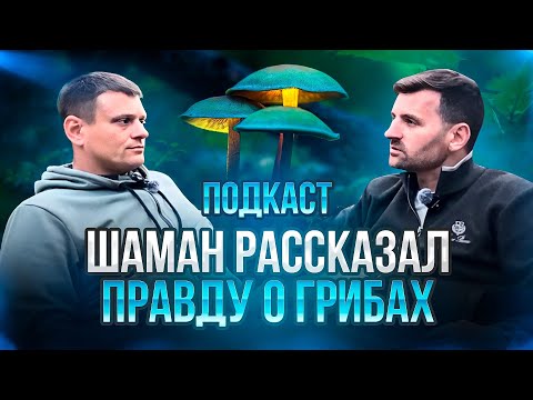 ШАМАН РАССКАЗАЛ ПРАВДУ О ГРИБАХ -  Что дают волшебные грибы? Встреча с демонами. Топ ошибок в трипе.