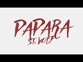 PAPARA ST WOLF Lyric Video PAPARA ST WOLF Lyric Video
