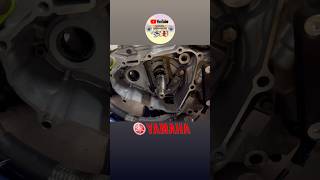Yfz450 balance shaft🔧#yamaha#yfz450#atvlife#balanceshaft#impostor#vibracion#mecanica#engine