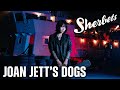 【SHERBETS】ジョーンジェットの犬 - Gear Blues Archive / Cover