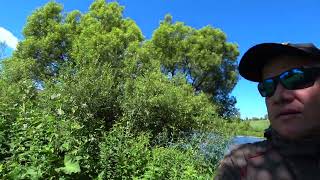 картинка: Рыбалка в Тульской области на реках Осетр и Красивая Меча 22.06.24