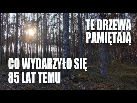85. rocznica MORDU w Wąskim Lesie | Lista ZAMORDOWANYCH | Powiat MAKOWSKI | Gmina Czerwonka #2ww