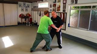 Tai Chi Raise Hands Applications with Lao Shi Damon Bramich screenshot 5