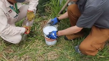 Fermeture du sceau du Rust-Anode Primer