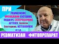 Ревматизан - ревматизм воспаление суставов подагра склеродермия  артрит болезнь Бехтерова остеопороз