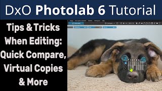 DxO Photolab 6 Elite: Editing Tips & Tricks-Comparison Tools, Virtual Copies, and More! ep.428 DxO Photolab 6 Elite: Editing Tips & Tricks-Comparison Tools, Virtual Copies, and More! ep.428