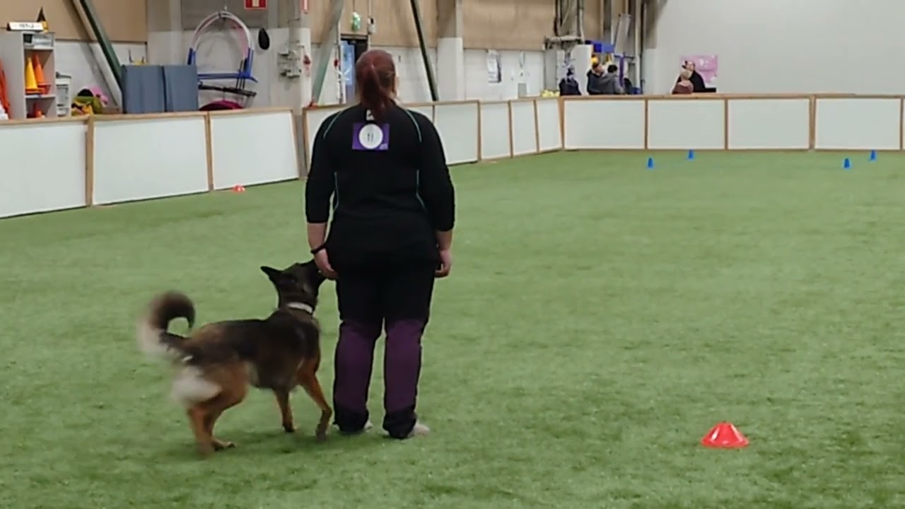 Toko AVO 16.11.2024, Sera