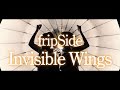 fripSide/Invisible Wings(Official MV/Short ver.)