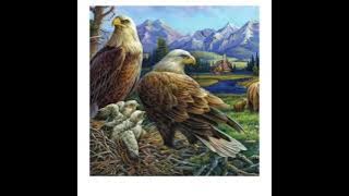 Download lagu Sampel Suara Panggil, Tarik, Inap, Hexagonal dan SP.ST ( LR ) Streo. RAJAWALI by atax walet.